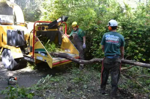 tree services Gibsonton